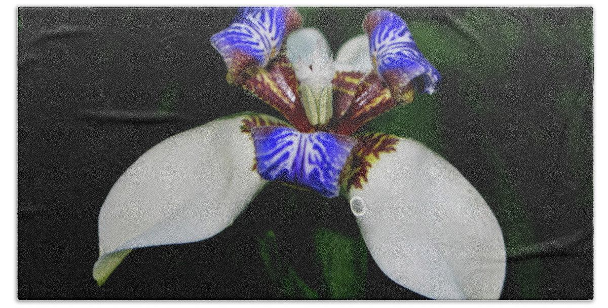 Flora Bath Towel featuring the photograph Orchid by Segura Shaw Photography