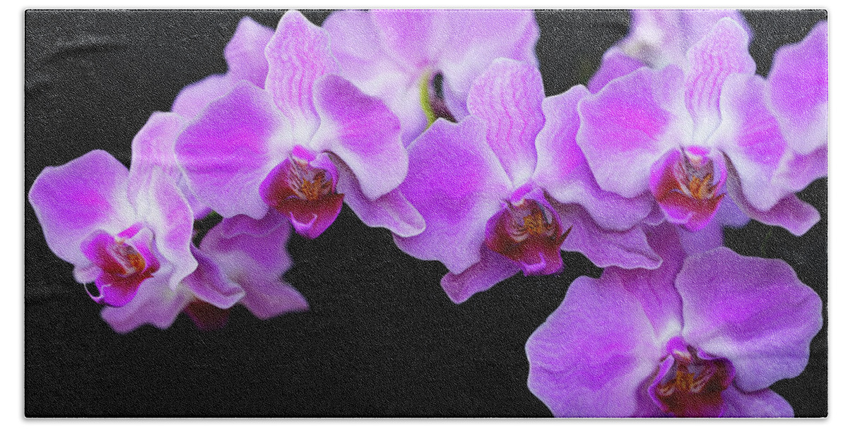 Flower Bath Towel featuring the photograph Orchid wave by Gina Fitzhugh