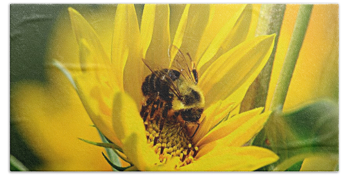 Bee Bath Towel featuring the photograph Our Best Friend by Mary Walchuck