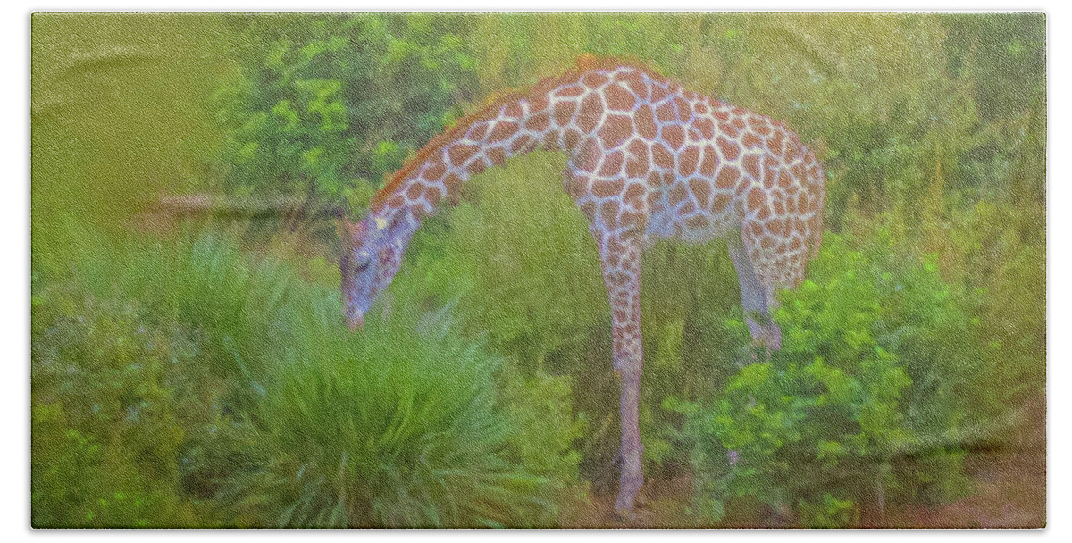 Giraffe Bath Towel featuring the painting Our Gardener at Animal Kingdom Lodge by Bill McEntee