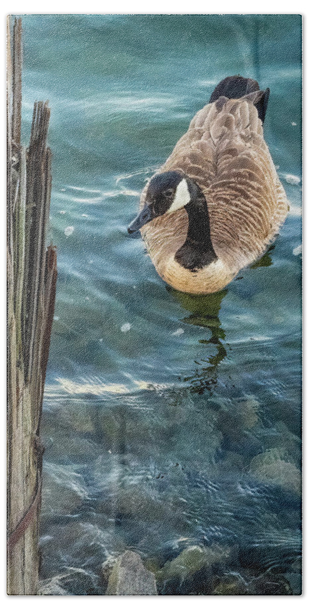 Vivid Hand Towel featuring the photograph Out for a Swim by Rob Green