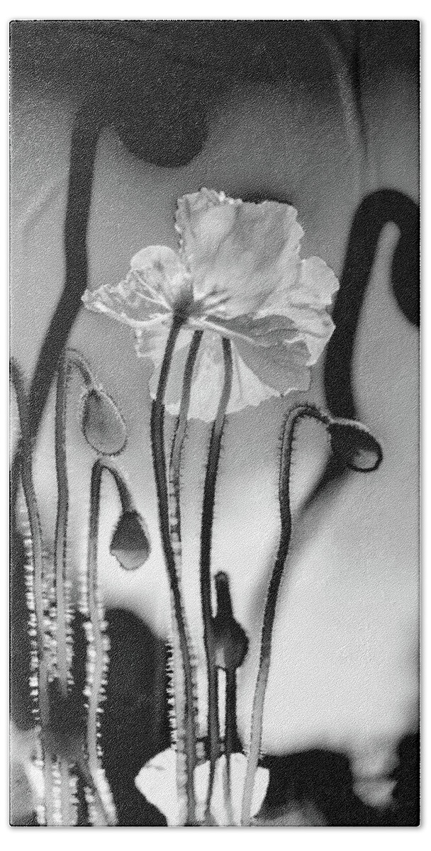 Beautiful Black And White Flower Hand Towel featuring the photograph Out Of Shadows by Az Jackson
