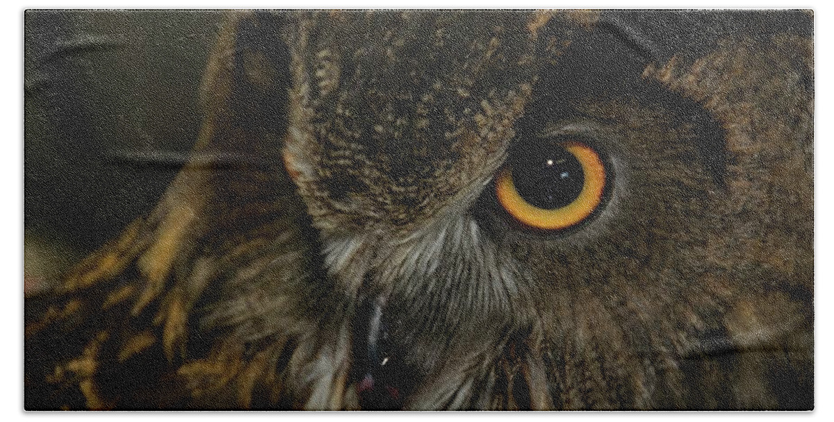 Animal Bath Towel featuring the photograph Owl Be Seeing You by Melissa Southern