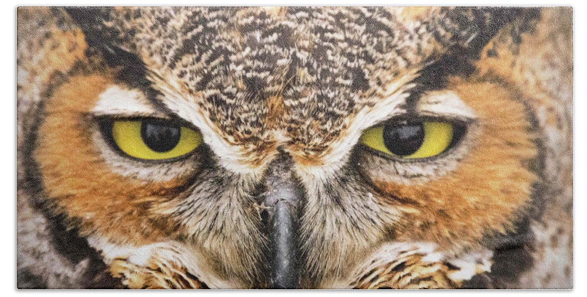 Owl Bath Towel featuring the photograph Owl Eyes by Ira Marcus