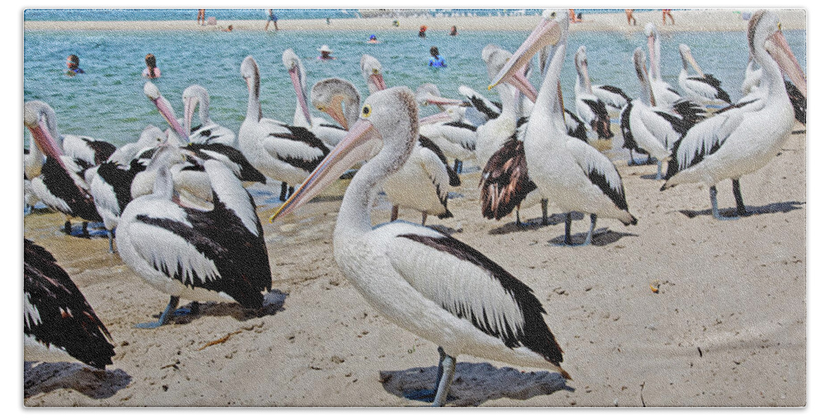 Many Australian Pelicans Bath Towel featuring the photograph Packed Beach by Az Jackson