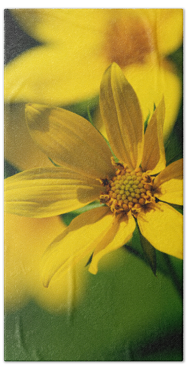 Sunflower Bath Sheet featuring the photograph Packing Sunflower by Linda Bonaccorsi