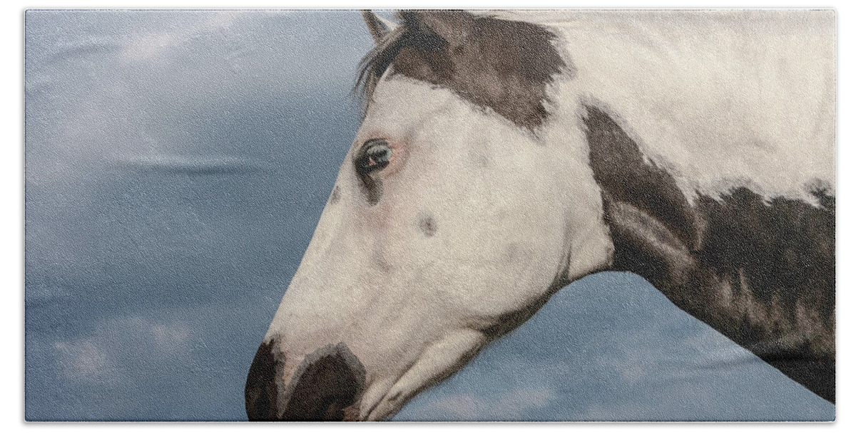 American Paint Horse Hand Towel featuring the photograph Paint by Maresa Pryor-Luzier