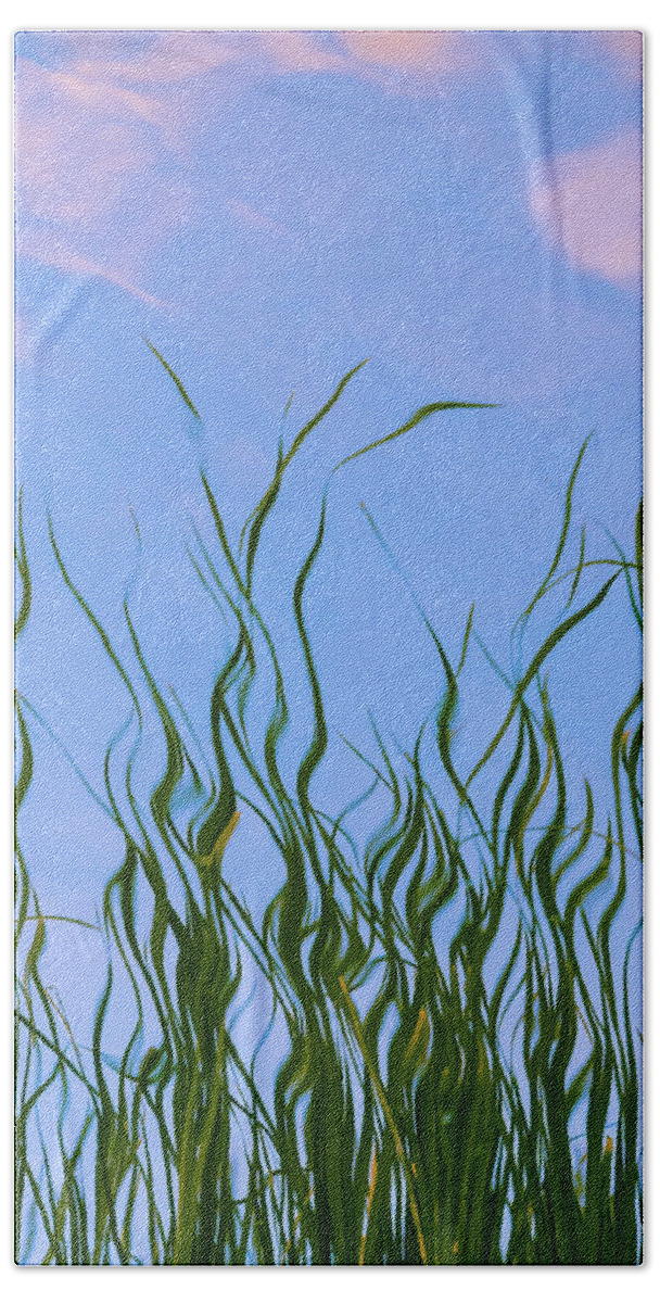 Grasses Hand Towel featuring the photograph Painterly grasses by Stephen Holst