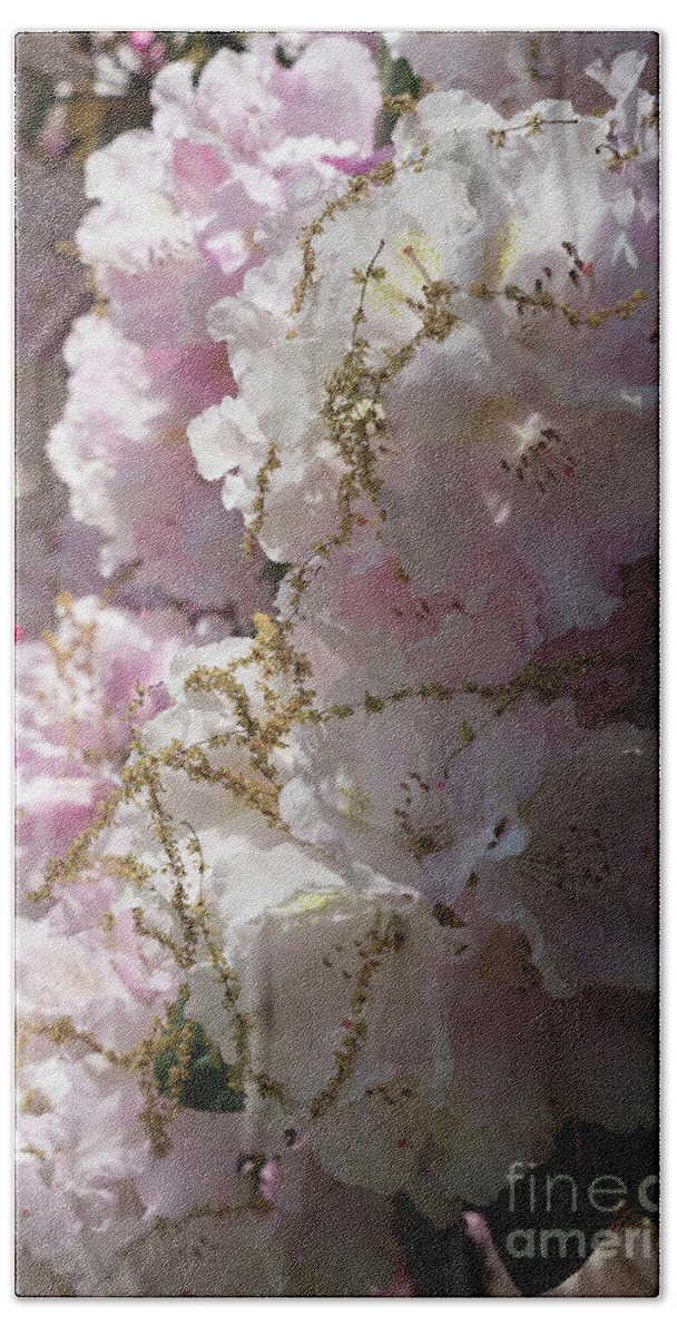Rhododendron Bath Towel featuring the photograph Pale pink rhododendron flowers 1 by Adriana Mueller