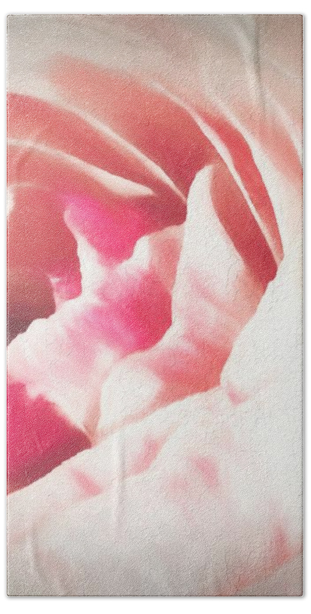 Pink Ranunculus Bath Towel featuring the photograph Pale Pink Ranunculus Flower by Rebecca Herranen