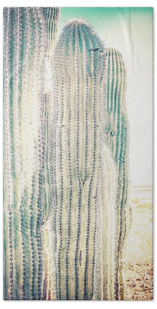 Arid Bath Towel featuring the photograph Pale Saguaro Cacti #1 by Jennifer Wright