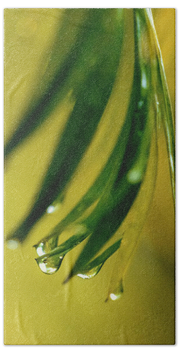 Palm Hand Towel featuring the photograph Palm Frond In The Rain by Christopher Johnson
