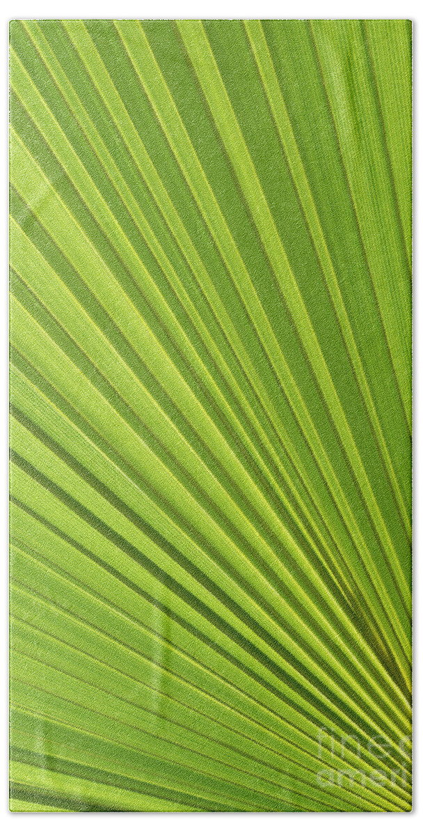 Palm Leaf Bath Towel featuring the photograph Palm leaf and Mediterranean sunlight 2 by Adriana Mueller