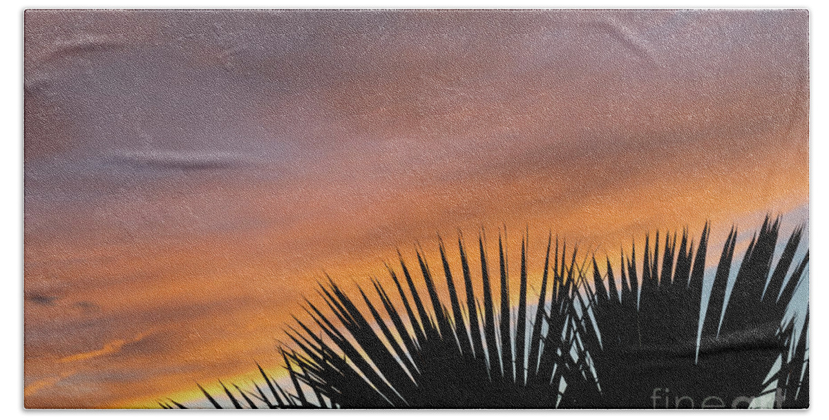 Palm Leaves Bath Towel featuring the photograph Palm leaves and soft clouds at sunset by Adriana Mueller