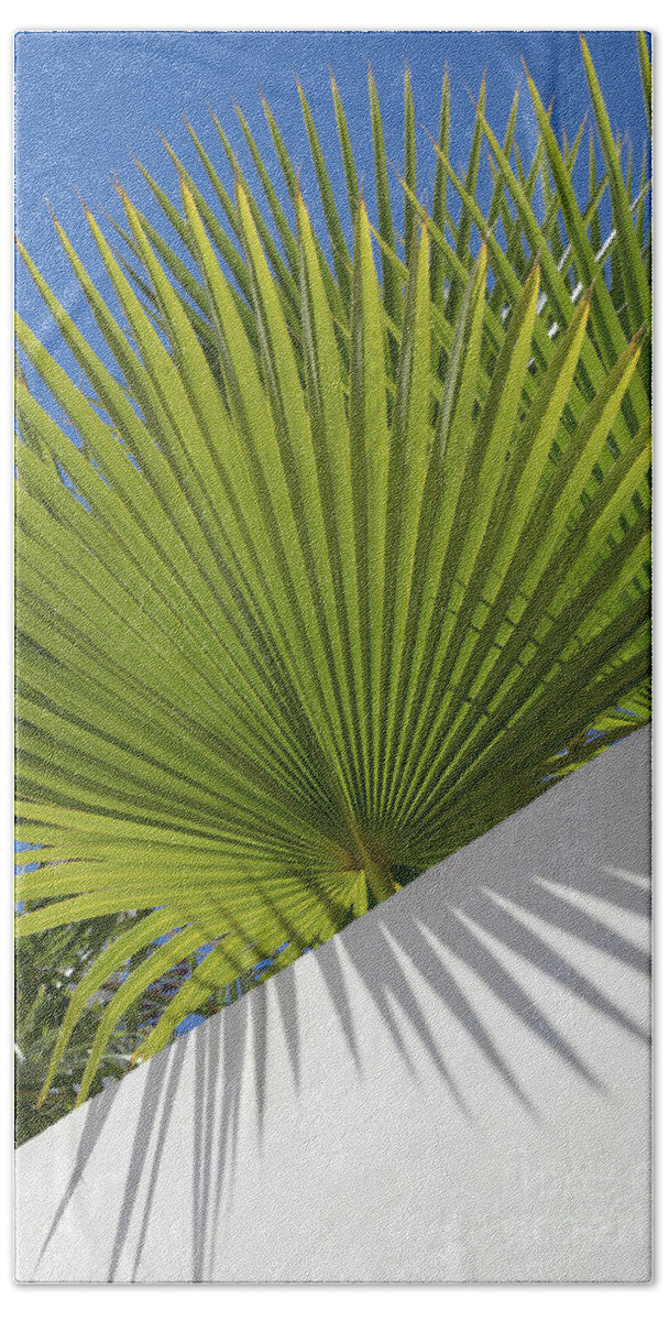 Palm Leaf Bath Towel featuring the photograph Green palm leaves, blue sky and white wall of a modern finca 2 by Adriana Mueller