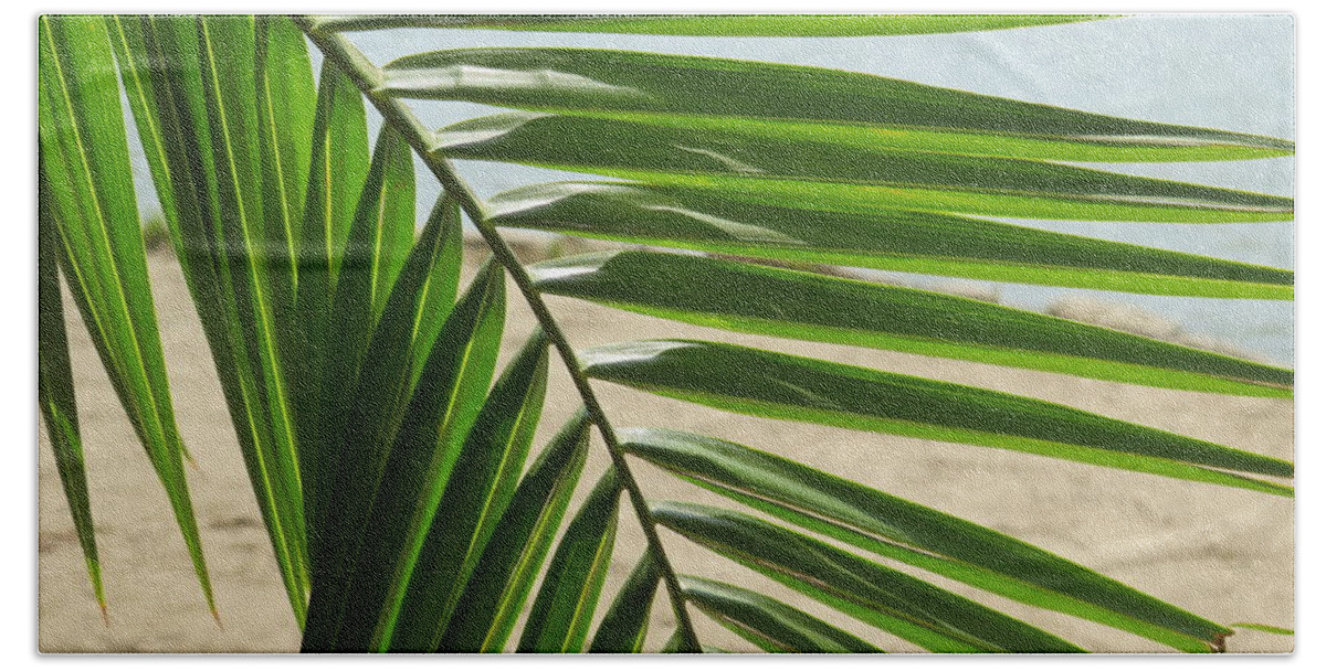 Palm Bath Towel featuring the photograph Palm Tree Frond by Raymond Fernandez