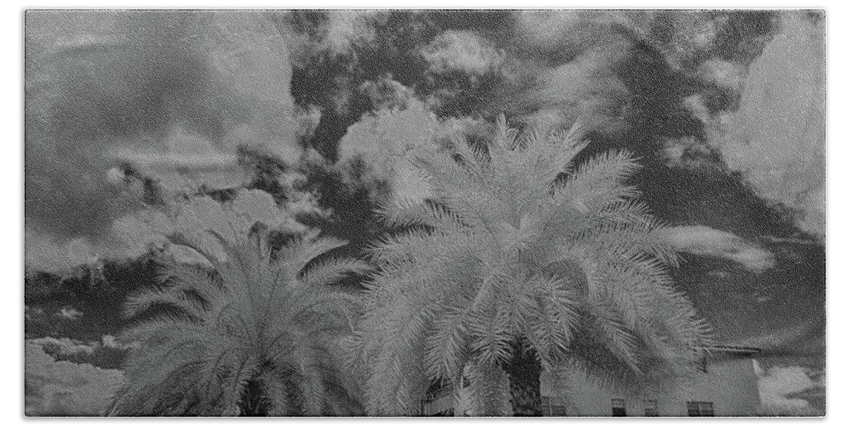 Black And White Hand Towel featuring the photograph Palm Tree in infrared black and white by Alan Goldberg