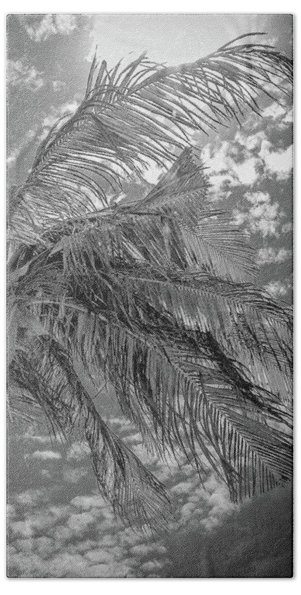 Mexico Hand Towel featuring the photograph Palm Tree - Mexico by Frank Mari