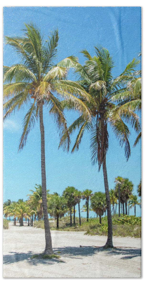 Palm Bath Towel featuring the photograph Palm Trees at Crandon Park Beach in Key Biscayne Florida by Beachtown Views