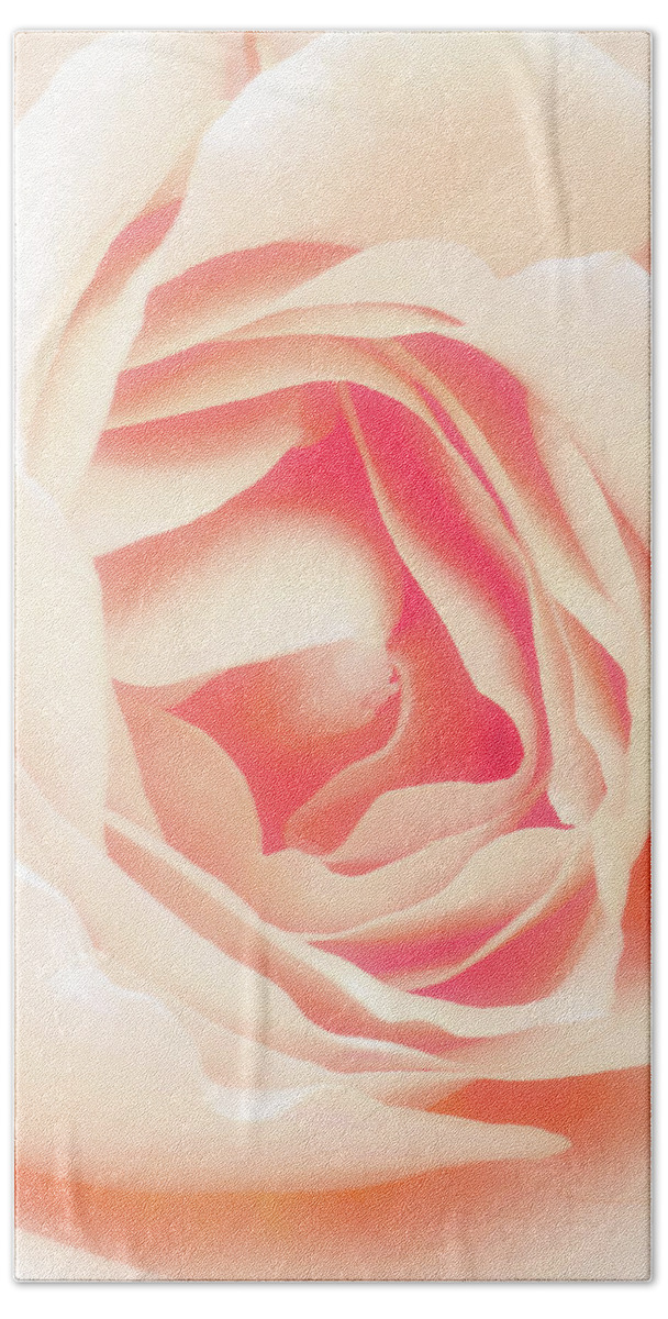 Background Bath Towel featuring the photograph Pastel rose by Jean-Luc Farges