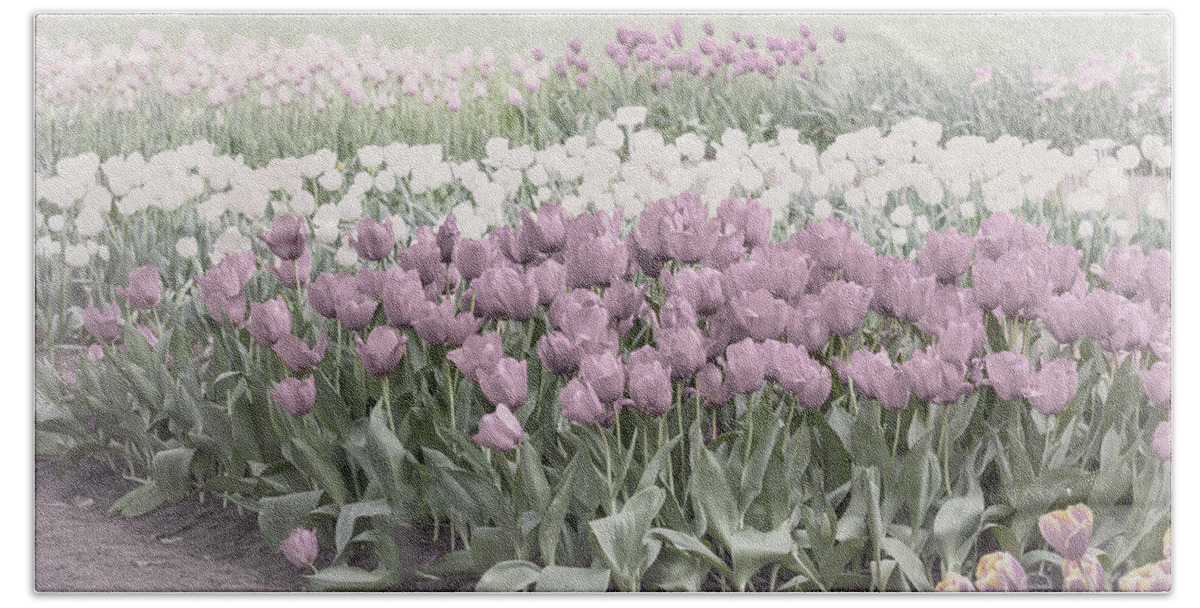 Pastel Hand Towel featuring the photograph Pastel Tulips by Elaine Teague
