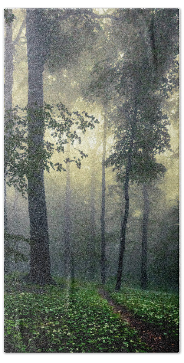 Balkan Mountains Bath Towel featuring the photograph Path In the Mist by Evgeni Dinev