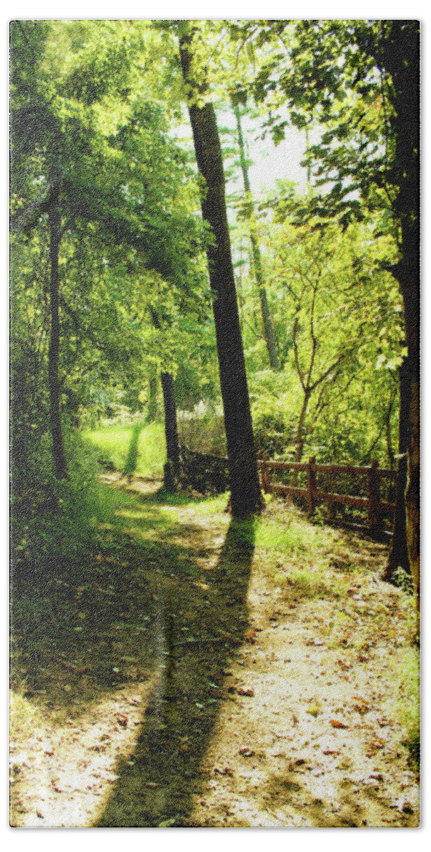 Trees Bath Towel featuring the photograph Path out of Summer by Christopher Reed