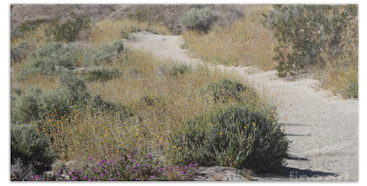 Desert Oasis Bath Towel featuring the photograph Pathway Through The Brittle Bush Coachella Valley Wildlife Preserve by Colleen Cornelius