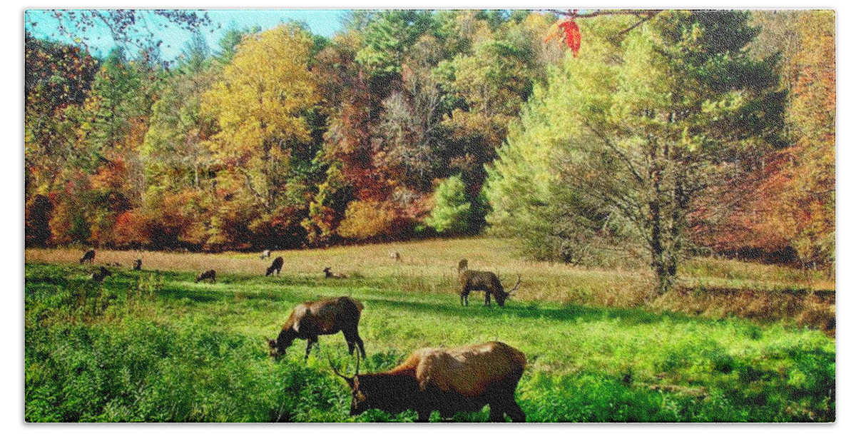  Elk Bath Towel featuring the photograph Peace In The Valley by Allen Nice-Webb