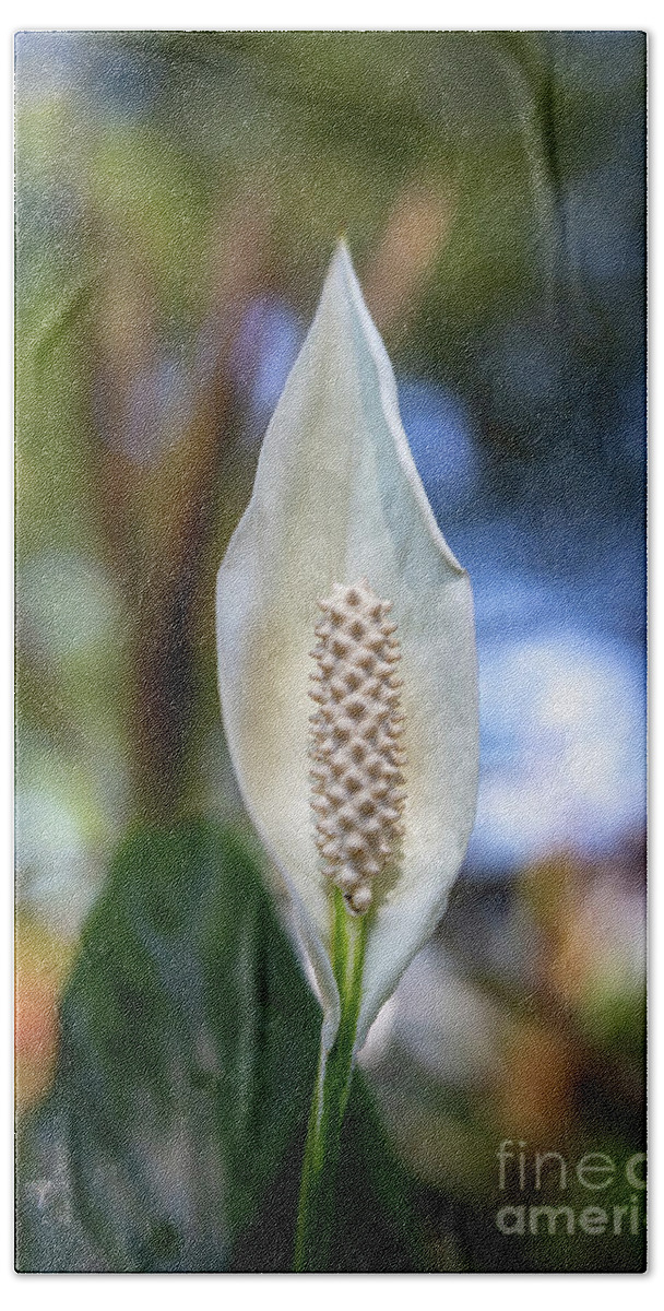 2020 Hand Towel featuring the photograph Peace Lily by Charles Hite