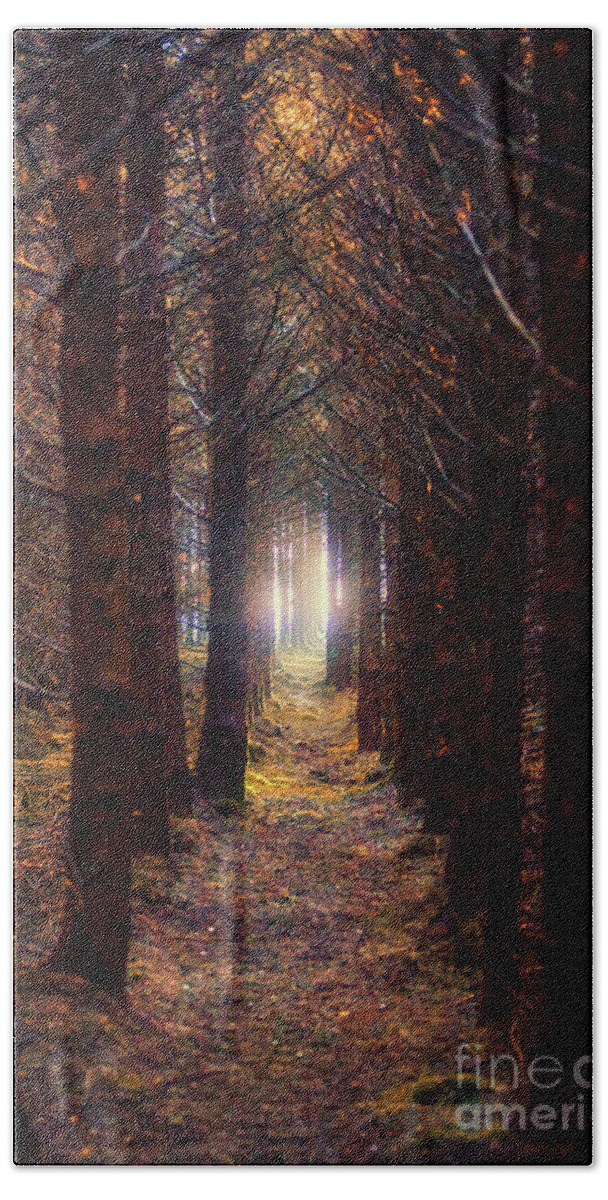 Woodland Hand Towel featuring the photograph Peaceful Path by Kype Hills