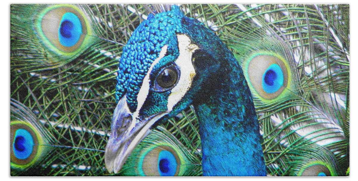 Peacock Hand Towel featuring the photograph Peacock Up Close by Ellen Cotton