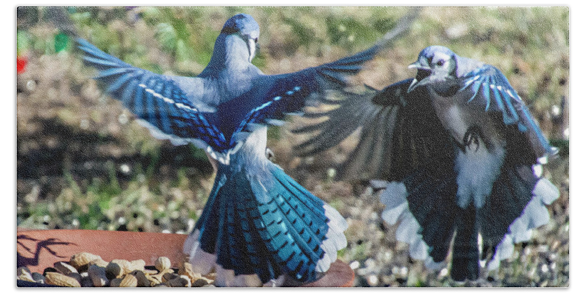 Bird Bath Towel featuring the photograph Peanut Dispute by Cathy Kovarik