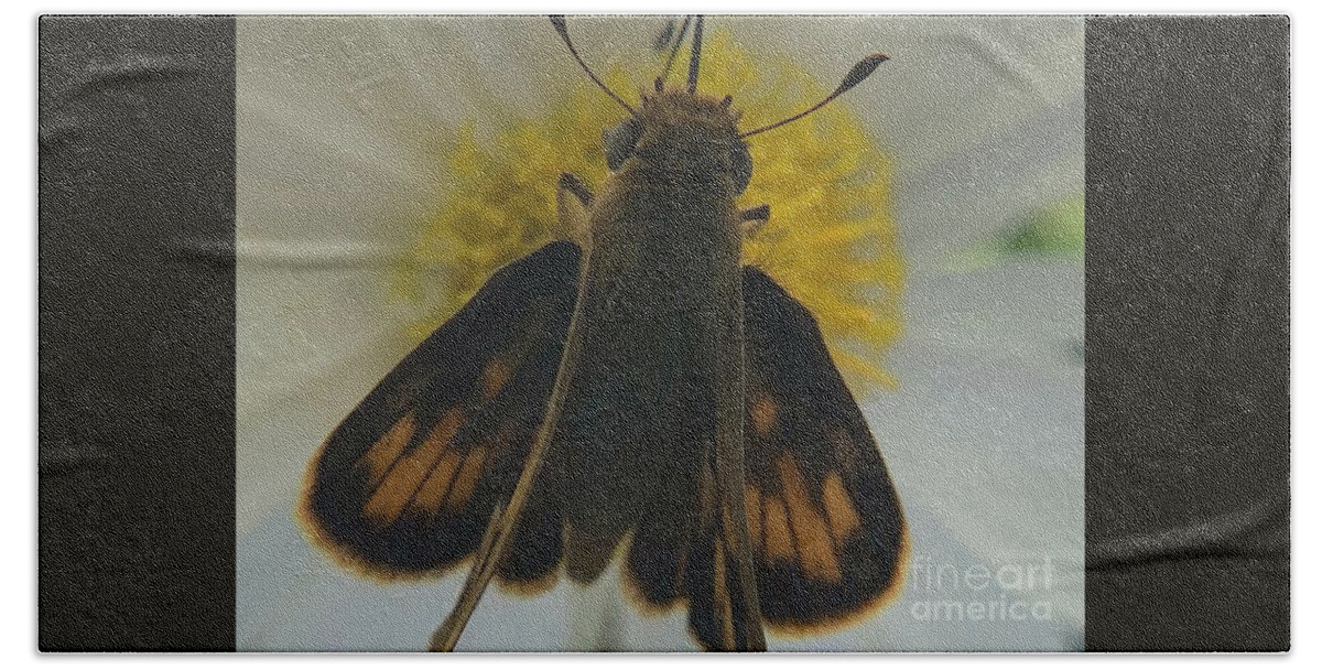 Bug Hand Towel featuring the photograph Peck Skipper by Catherine Wilson