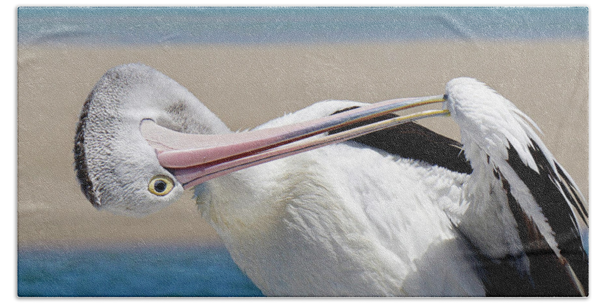 Australian Pelican Bath Towel featuring the digital art Pelican care 027 by Kevin Chippindall