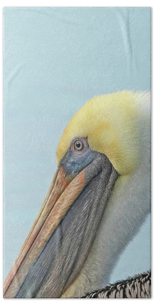 Anna Maria Island Hand Towel featuring the photograph Pelican Closeup by CR Courson