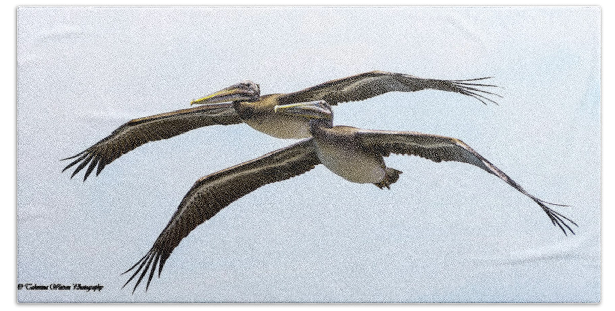Pelican Hand Towel featuring the photograph Pelican Duo by Tahmina Watson