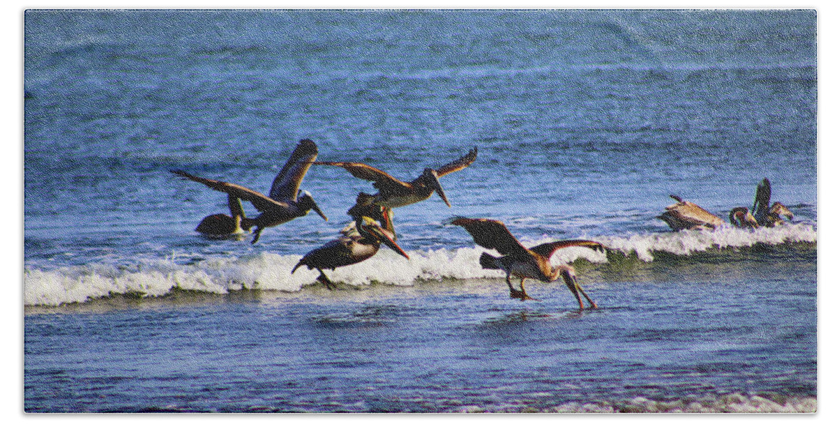 Pelicans Bath Towel featuring the photograph Pelican Party by Marcus Jones
