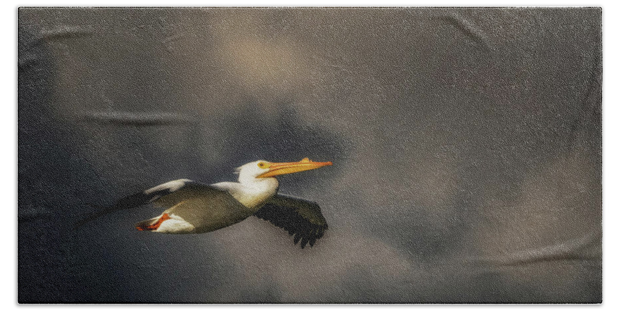 Animal Bath Sheet featuring the photograph Pelican Sunset Flight by Framing Places