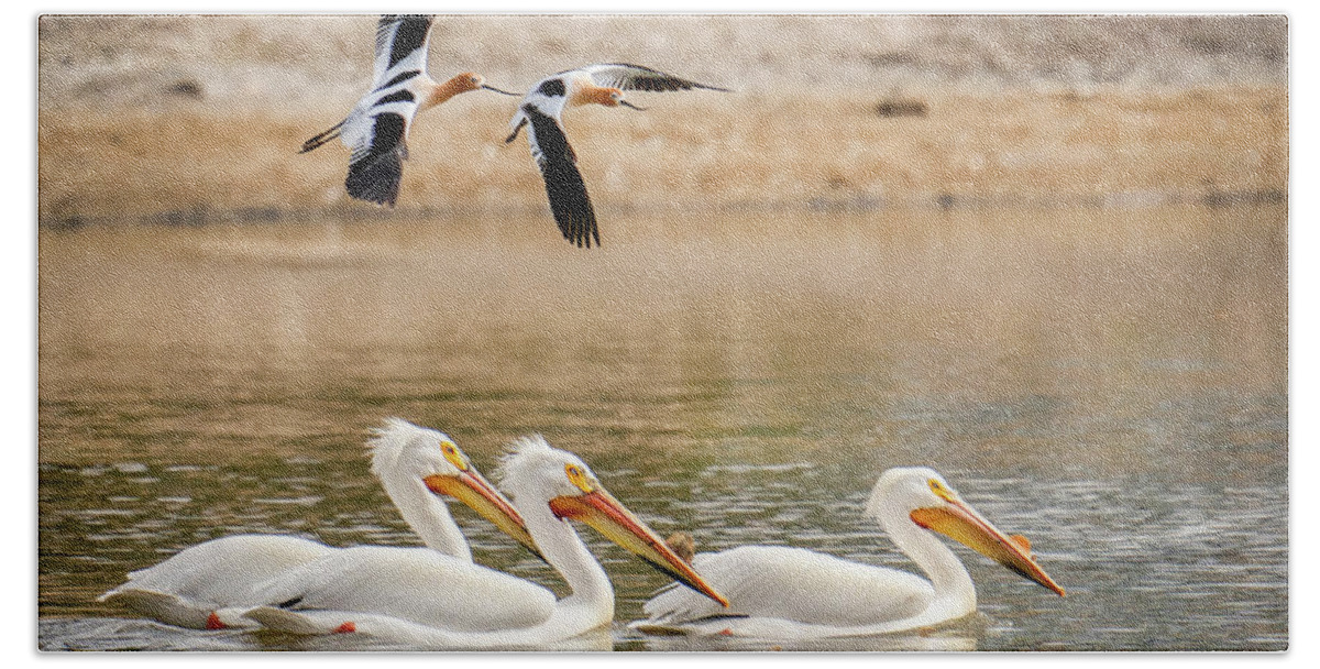 Pelicans Hand Towel featuring the photograph Pelicans with Avocet Flyby by Judi Dressler