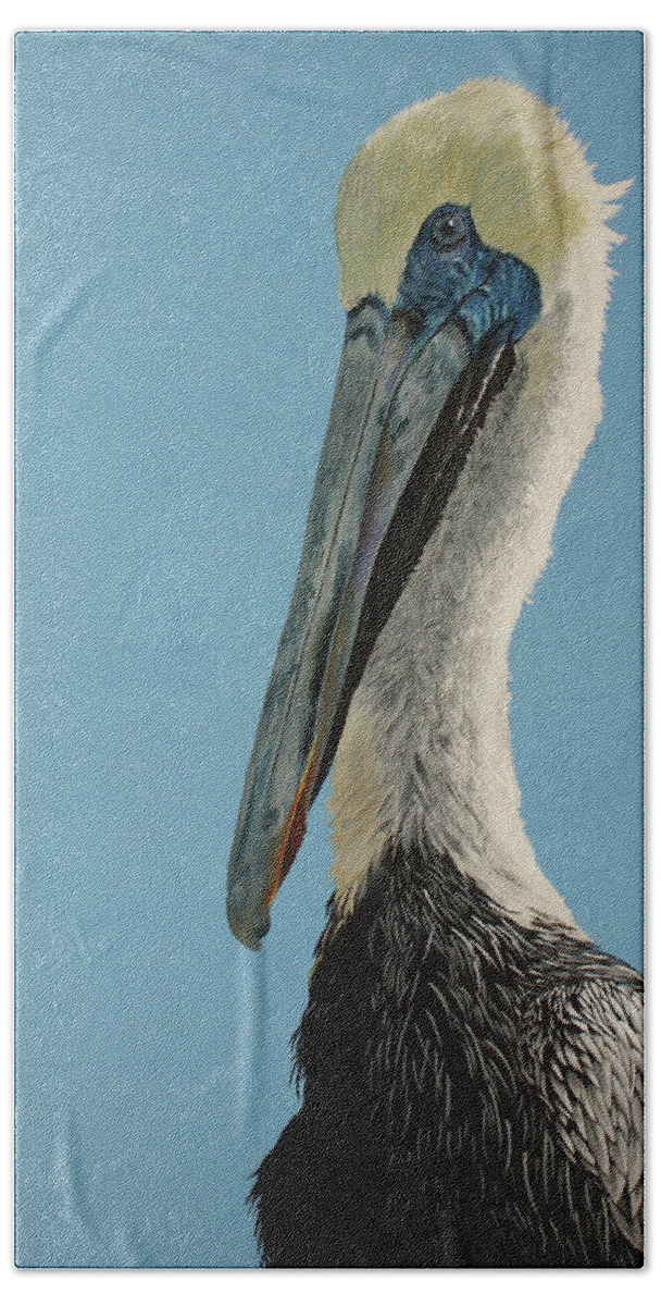 Pelican Hand Towel featuring the painting Pelicanus Magnificus by Heather E Harman