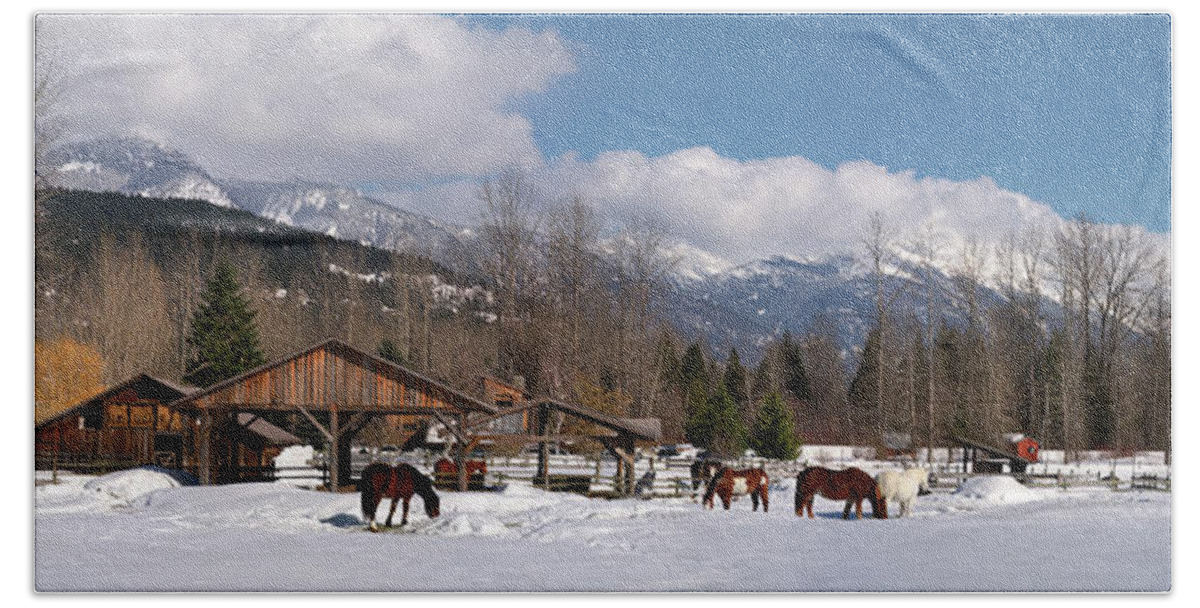 617 Bath Towel featuring the photograph Pemberton Canada Horses by Sonny Ryse