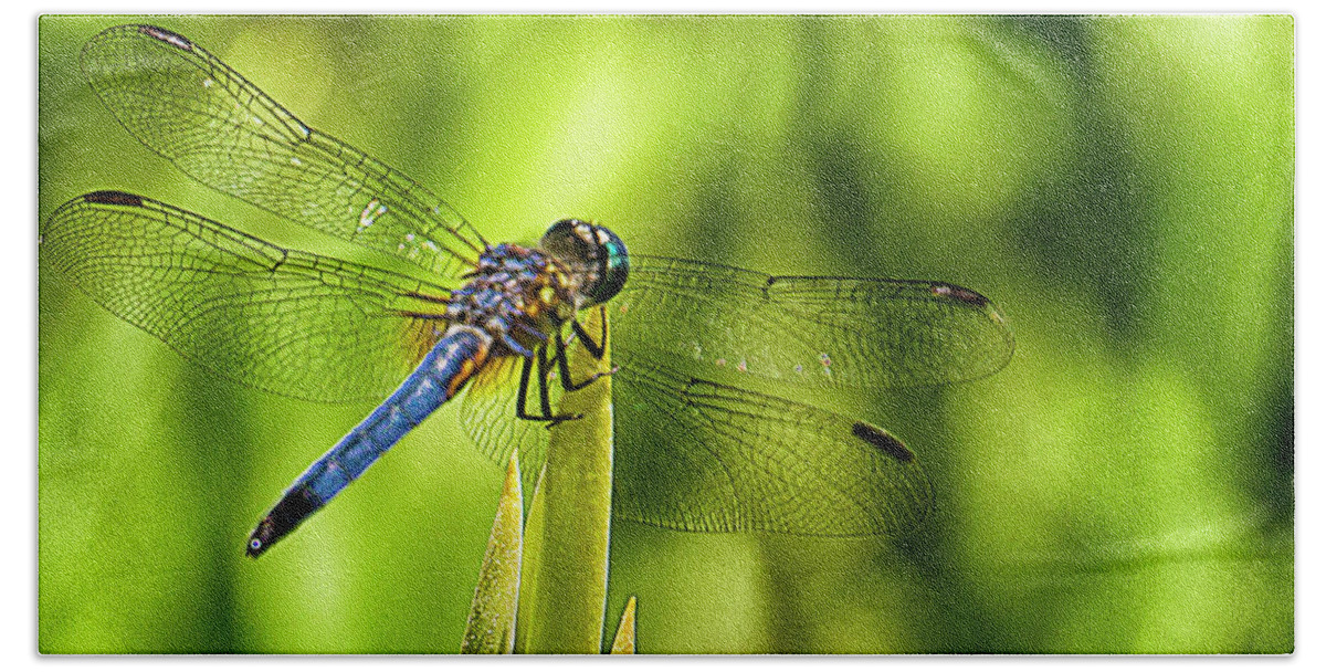 Dragonfly Bath Towel featuring the photograph Pensive Dragon by Bill Barber