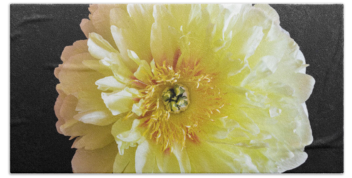 Flowers Hand Towel featuring the photograph Peony by David Lee