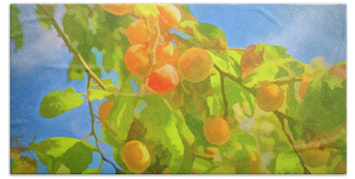 Nature Bath Towel featuring the photograph Persimmons by Robert Bolla