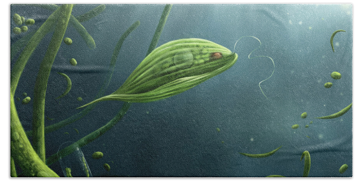 Protozoa Bath Towel featuring the digital art Phacus by Katelyn Solbakk