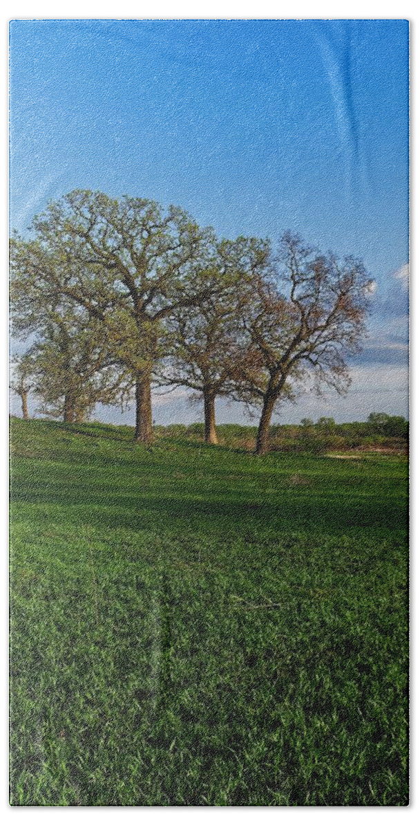 Middleton Bath Towel featuring the photograph Pheasant Branch Conservancy 2, Middleton, WI by Steven Ralser