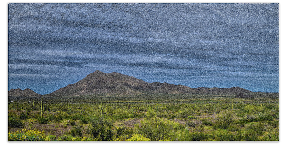 Sonoran Desert Bath Towel featuring the photograph Piacho Mountains Brittlebrush Splendor by Chance Kafka