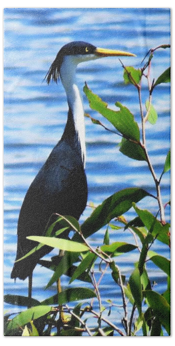 Wildlife Hand Towel featuring the photograph Pied Heron Tree by Joan Stratton