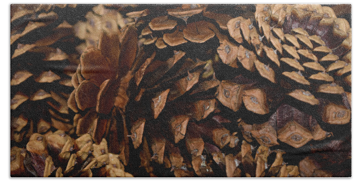 Pine Bath Towel featuring the photograph Pine Cones by Bonny Puckett
